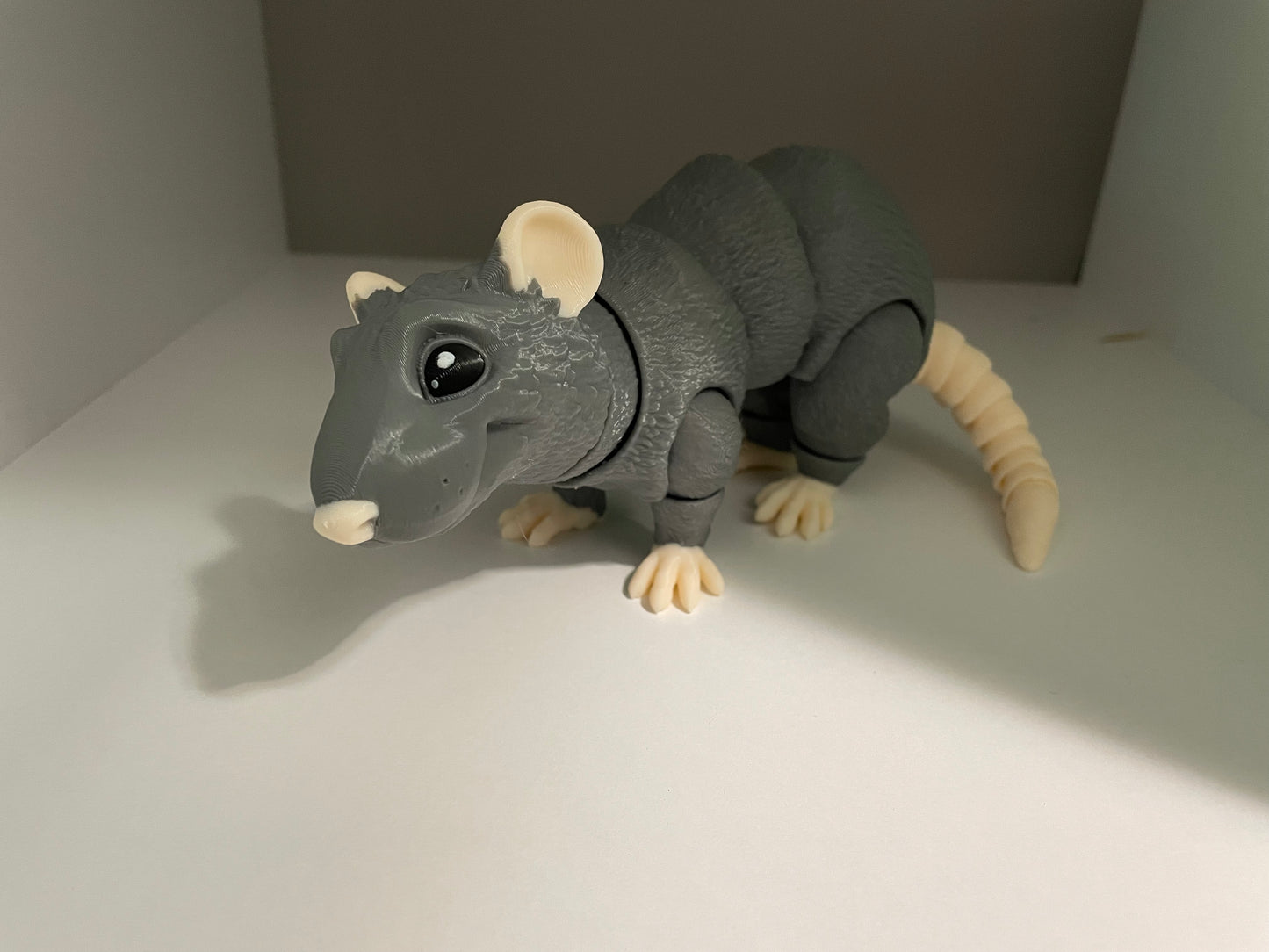 Rat