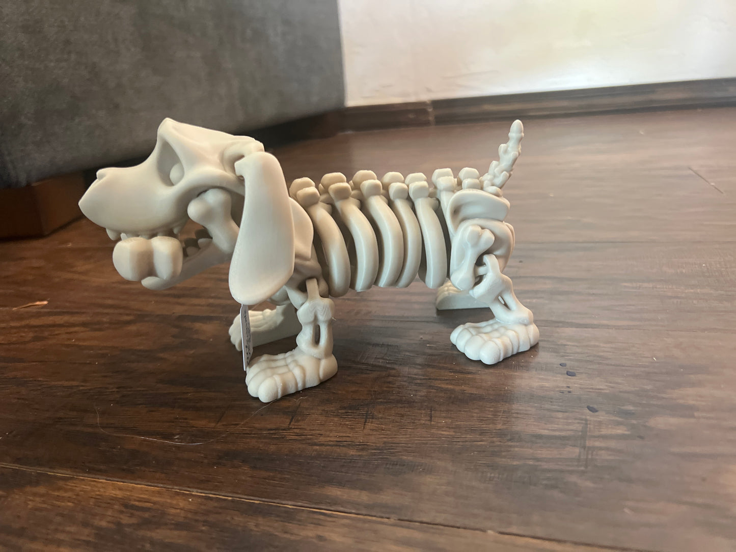 Bone Dachshund