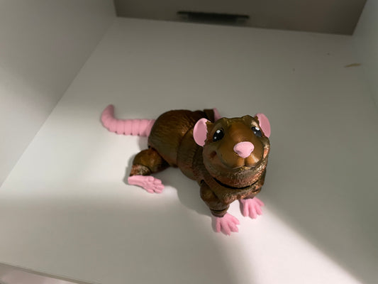 Rat