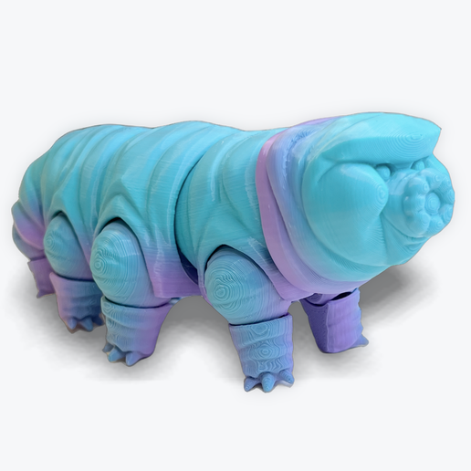 Tardigrade