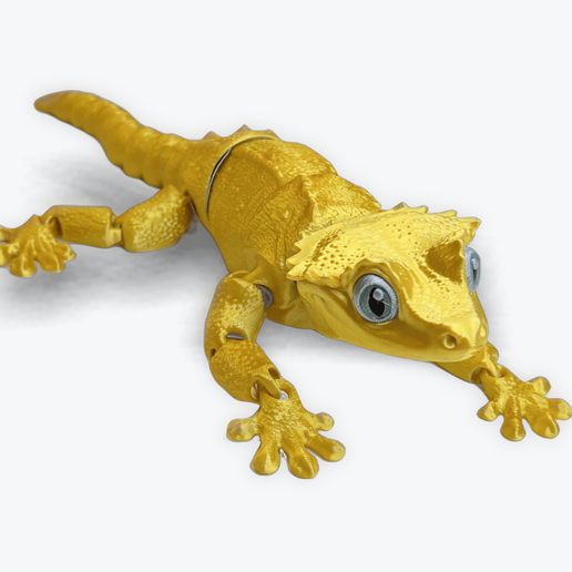 Crested Gecko