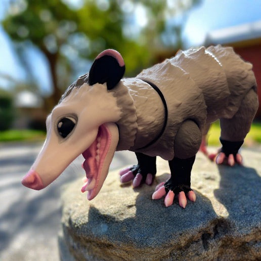 Opossum