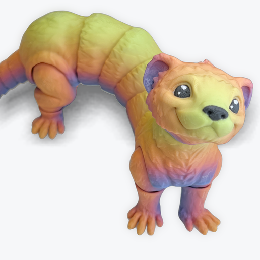 Ferret